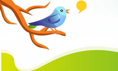 Tips to Grow Your Twitter